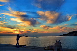 探尋光影之美 網絡攝影大賽官方網站的魅力